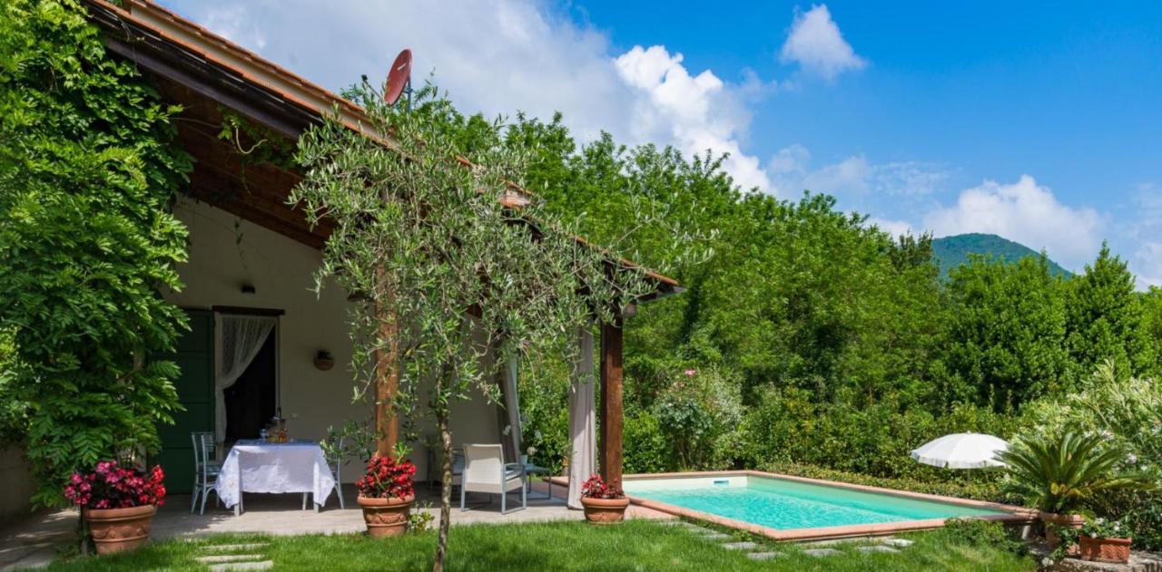 Villa Con Piscina Esclusiva Nel Verde Lucca Luaran gambar