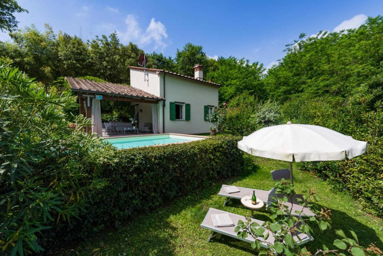Villa Con Piscina Esclusiva Nel Verde Lucca Luaran gambar